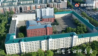0.gif