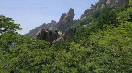 640 (4).gif