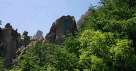 640 (5).gif