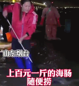 640 (1).gif