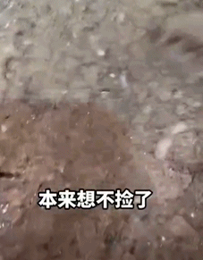 640 (6).gif