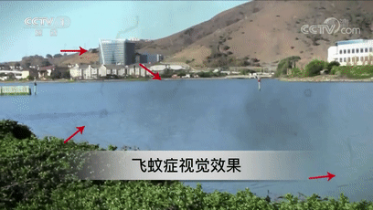 为啥眼前经常有小黑点在飘?会"瞎"吗?这几类人群尤其要注意