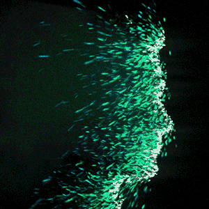 一口痰就能传染新冠!疾控专家提醒:出门一定做好这件事