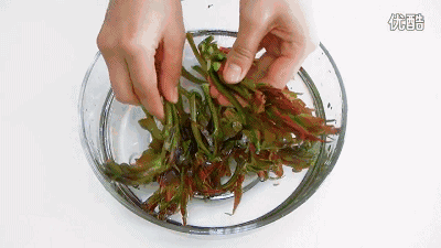 让人又爱又恨的香椿，究竟是香的还是臭的？终于真相大白了…