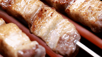 “胖”点儿挺好!科学家发现了「脂肪」抗感染机制