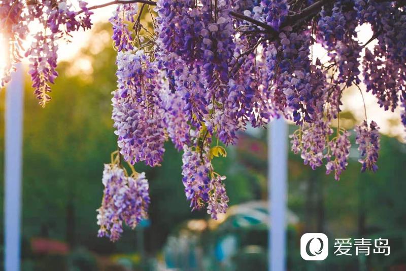 2c7ebbed322a08ba6c3757d2e2669dc.jpg 2c7ebbed322a08ba6c3757d2e2669dc.jpg