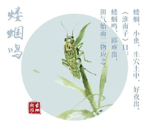 u=3882562231,3070881611&fm=26&gp=0.jpg u=3882562231,3070881611&fm=26&gp=0.jpg