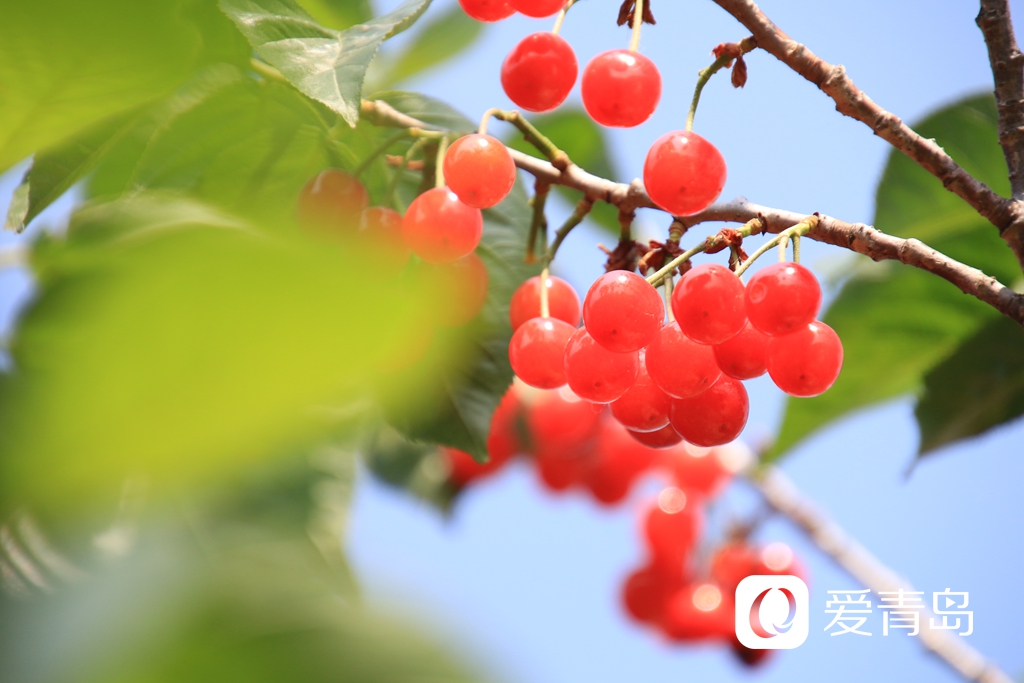 00302550834_c784b1ac.jpg 00302550834_c784b1ac.jpg