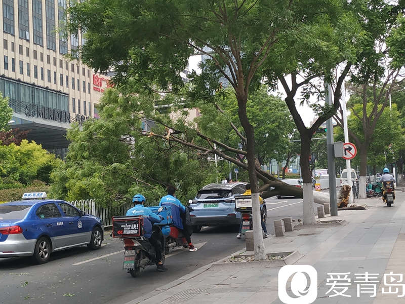 路上刮风图片图片