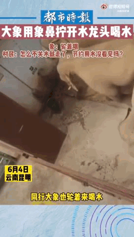 640 (3).gif