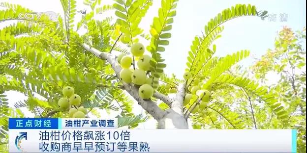 微信图片_20210609114510.jpg