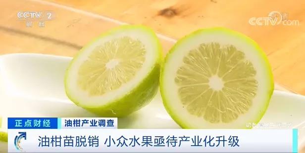 微信图片_20210609114521.jpg