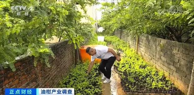微信图片_20210609114518.jpg