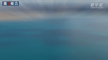 1.gif
