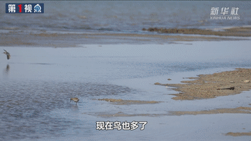 4.gif