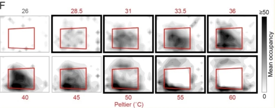 蚊子|如何科学地让蚊子去咬别人?