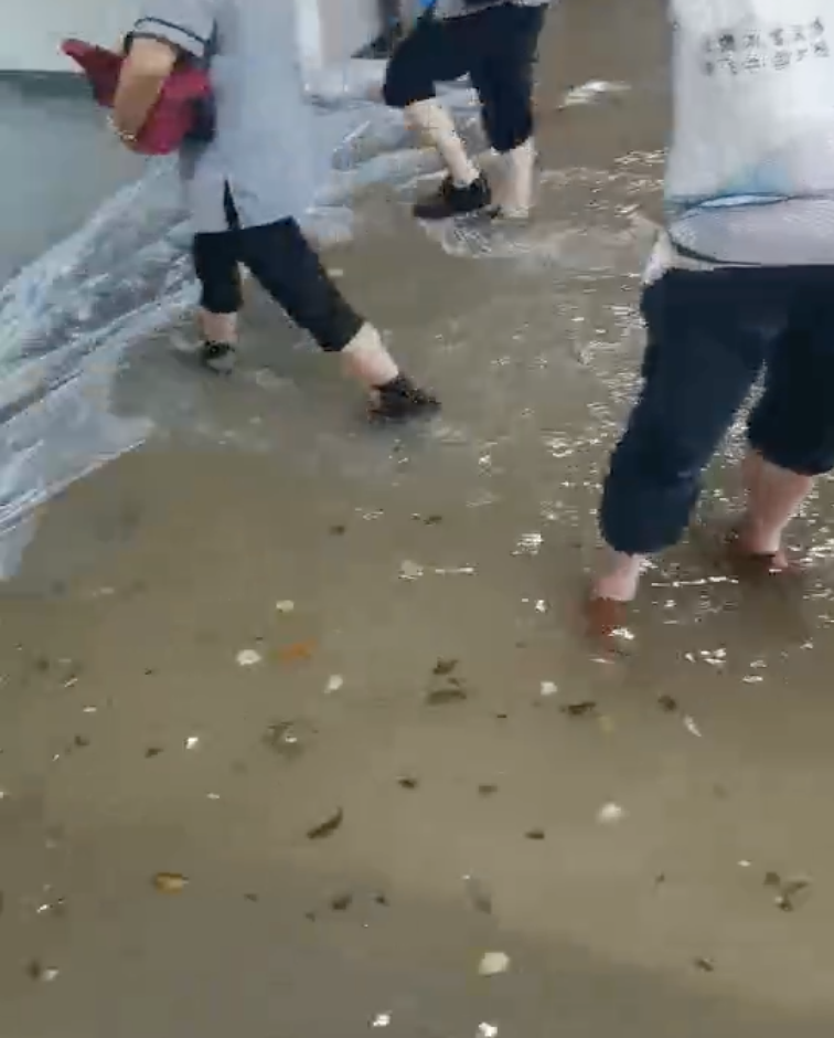 洪水|注意！洪水过后，需警惕这些皮肤问题，处理方法来了