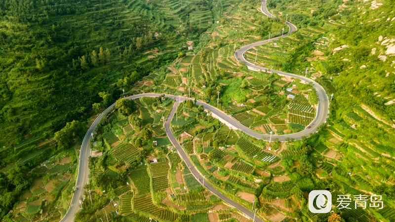 青山渔村|青山渔村，隐藏在崂山深处的世外桃源