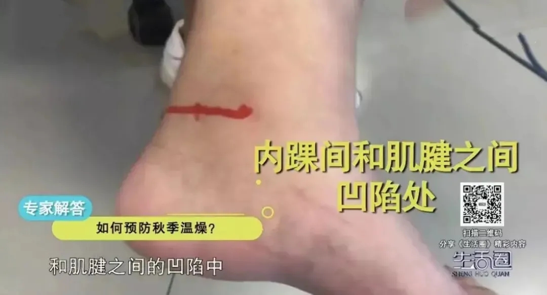 出伏|出伏 | 你不知道的养生秘诀！