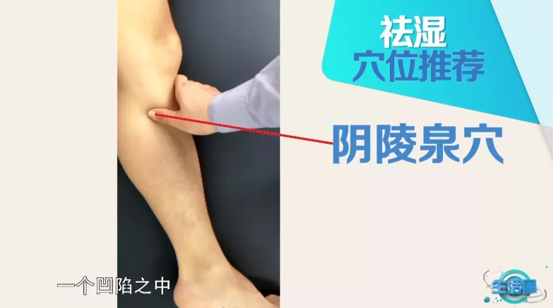 处暑|今日处暑|你不知道的养生秘诀！