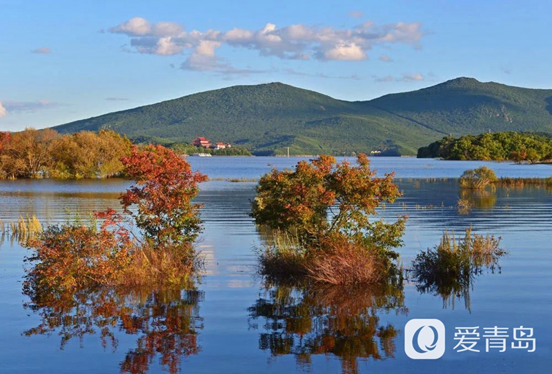 镜泊湖|行走中的风景：邂逅绝美镜泊湖 镶嵌群山中的一颗明珠