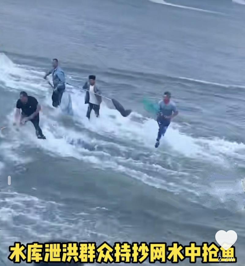 f4134dd1-d2aa-432e-9f0e-2015bf378f7d.png.jpg