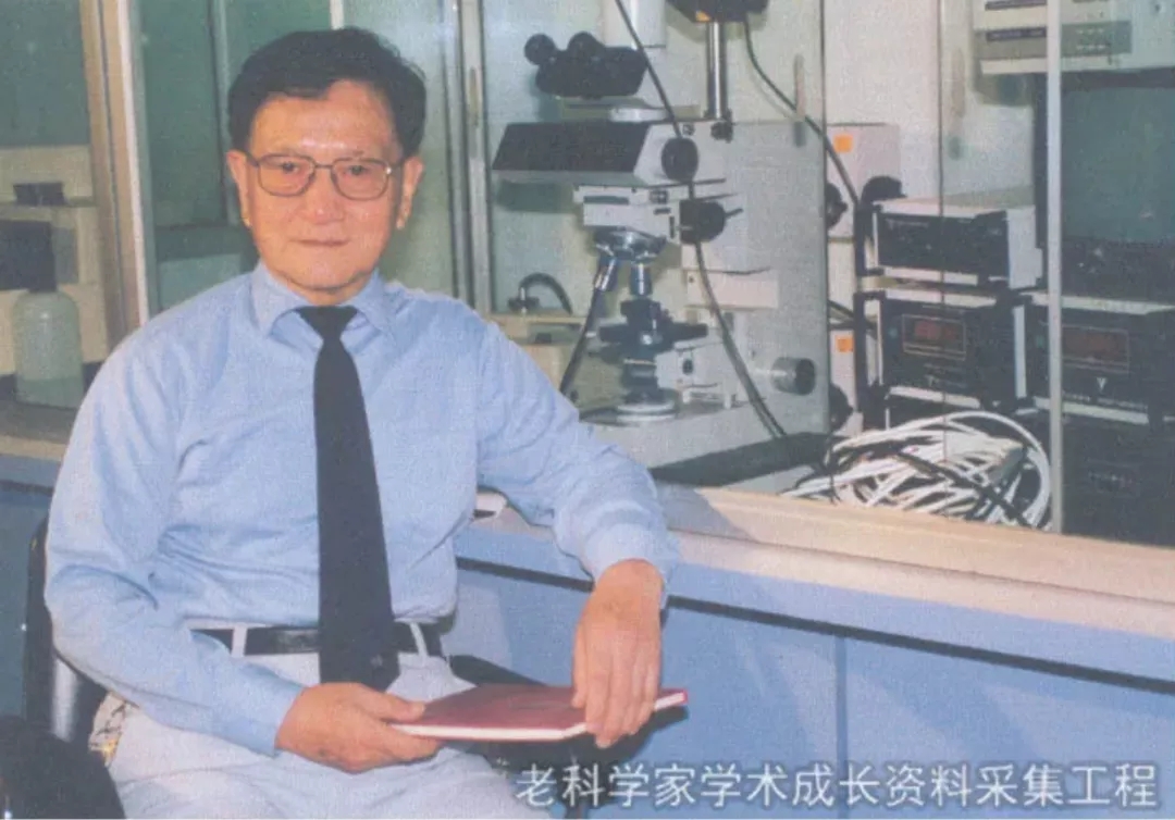 巨星2.webp.jpg