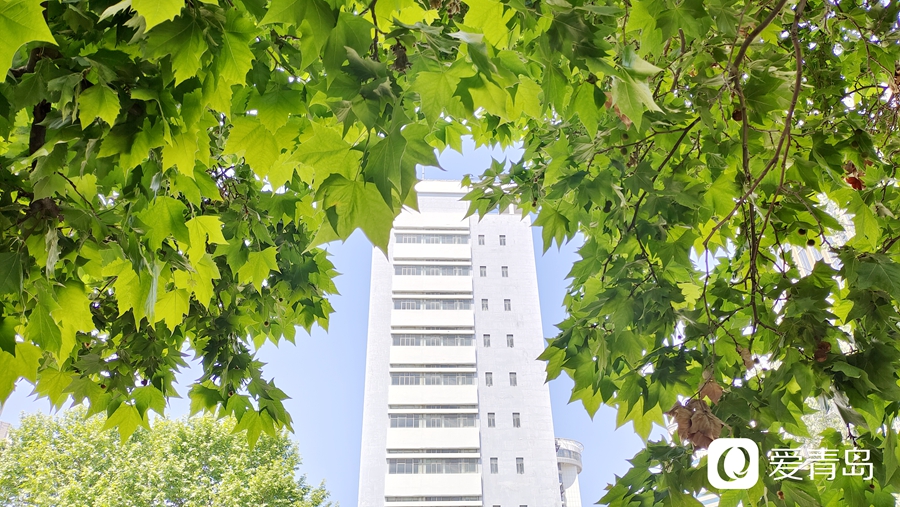 夏至｜愿所有美好如约而至