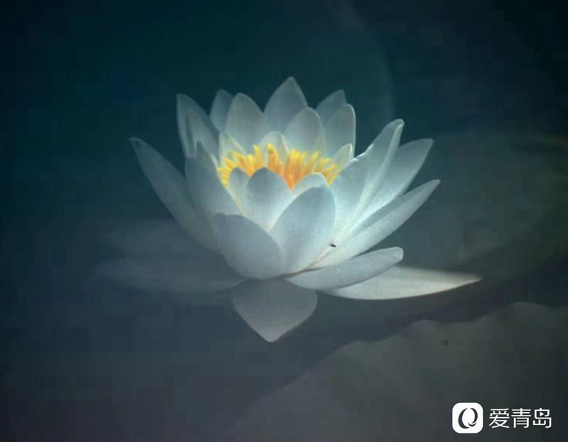 夏至|愿所有美好如约而至