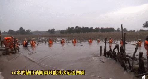 640 (7).gif