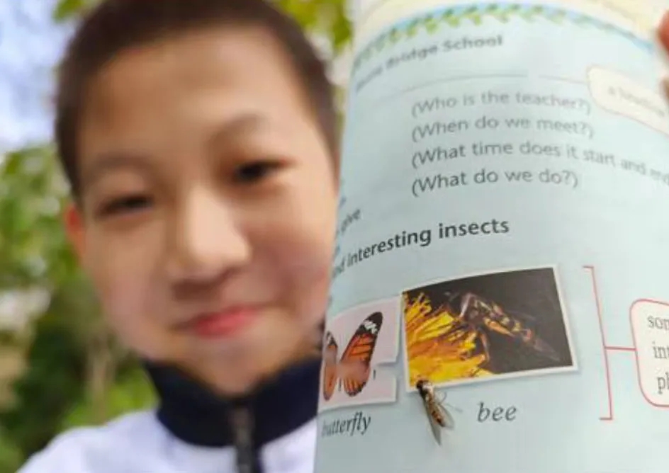 课本1.webp.jpg