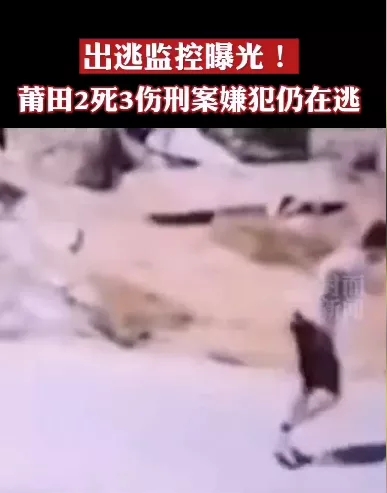 报警1.webp.jpg