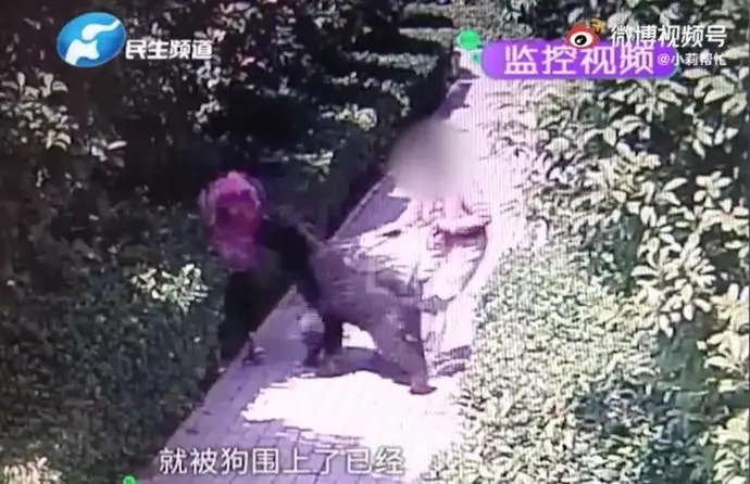 停职2.webp.jpg