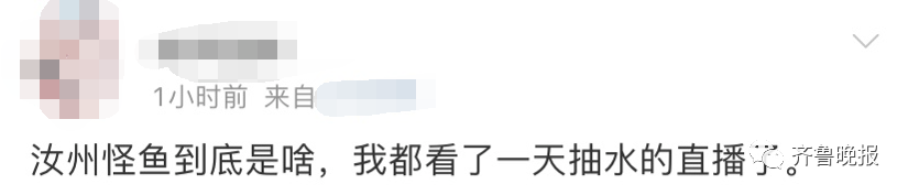 微信圖片 微信圖片