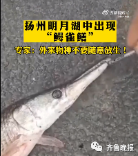 微信圖片 微信圖片