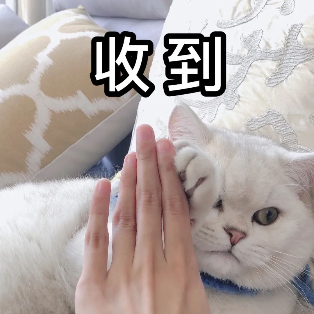 微信图片
