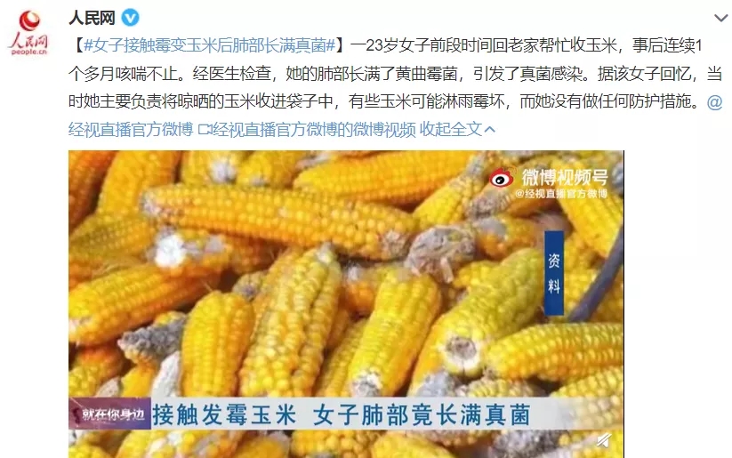 没吃也感染！发霉玉米致女子肺部长满真菌！很多人对此毫不知情
