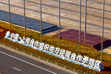 奋进新征程 建功新时代|山东：用好“关键一招” 蹚出高质量发展新路径