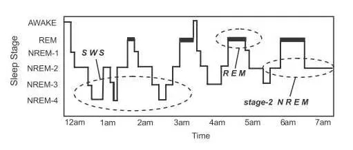 午觉睡一下午,醒来为什么有"被全世界抛弃"的感觉?原来是跟它有关…
