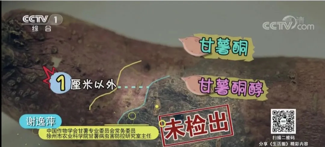 香蕉居然有辐射?专家:是真的,但……