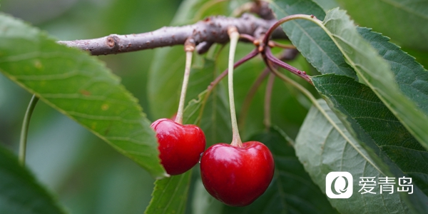 当心！这些肿瘤与＂吃＂密切相关，看完一定要避开…