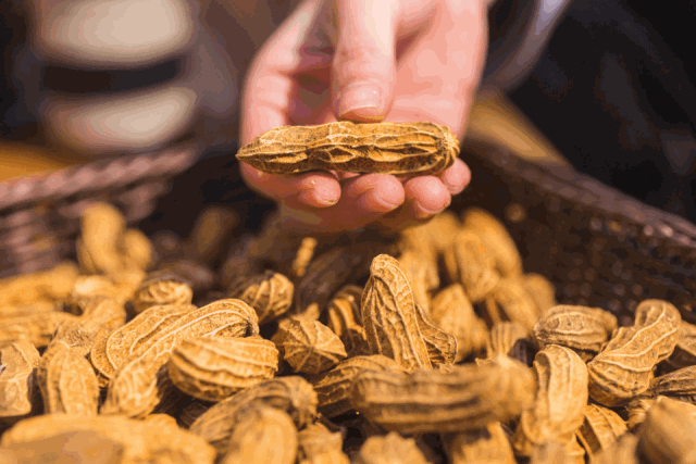 这些食物发芽后不但没“毒”，营养价值可能更高，别浪费了！