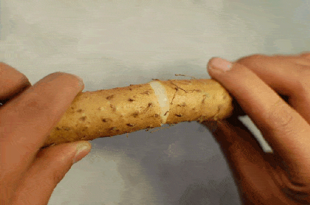 春季不能错过这碗汤！经常喝一喝，脾和肾都舒服了！春天少生病~