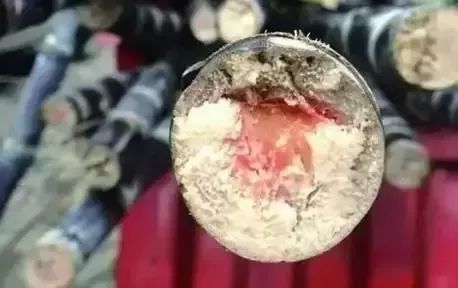 不要吃!清明过后这种水果会变“毒”,严重者致死、致残,很可怕~