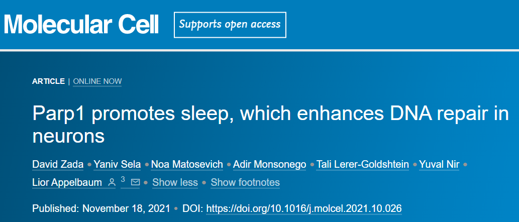 别熬夜了!你身体里时刻都在断裂的DNA,睡够了才能修复好!
