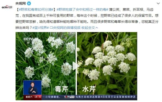 紧急提醒!别再乱挖野菜吃了,严重可致命!快告诉家里人…