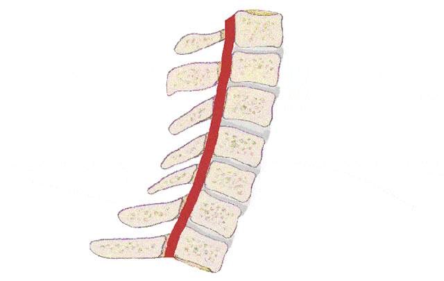 经常手麻是哪里出了问题？快对照自查~