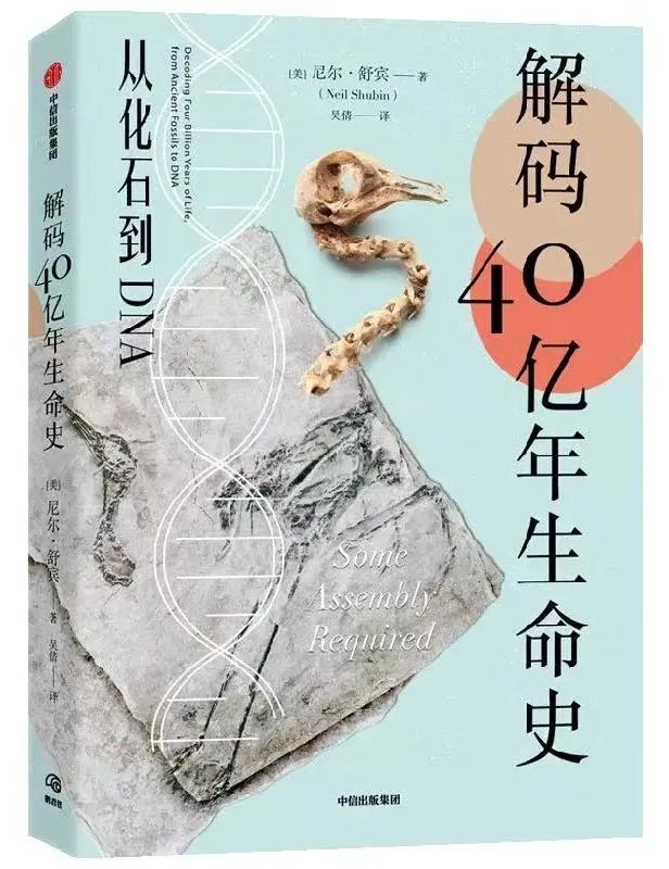 新华荐书 | 春日时光好,阅读正当时