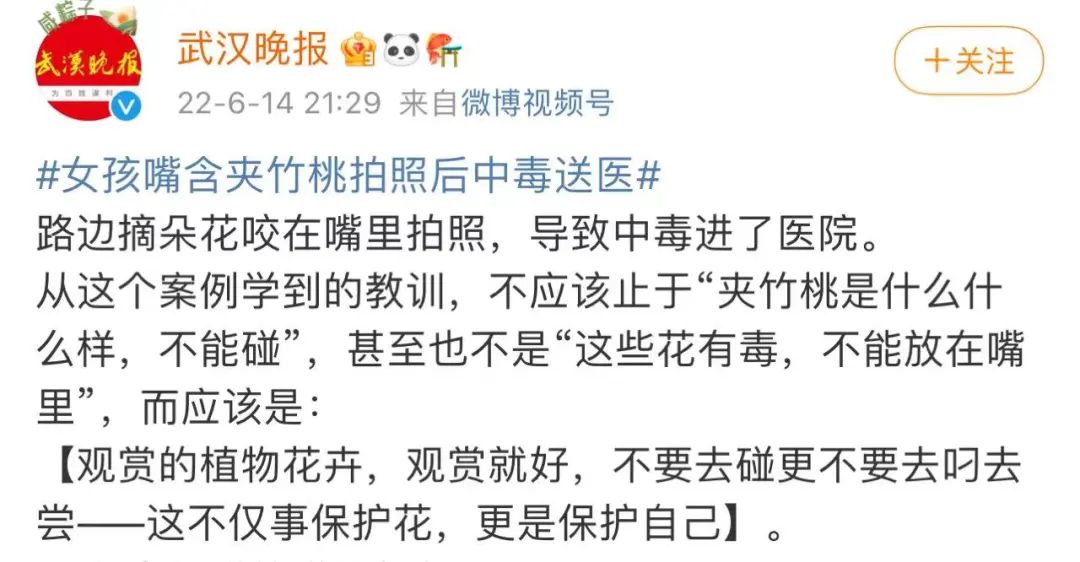 为拍出＂氛围感＂，女孩含夹竹桃后中毒！网友：安陵容的话要信…