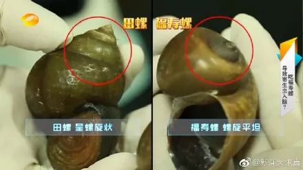 被可乐炸伤,脸缝 38 针 | 夏天的 70 个致命隐患,千万小心